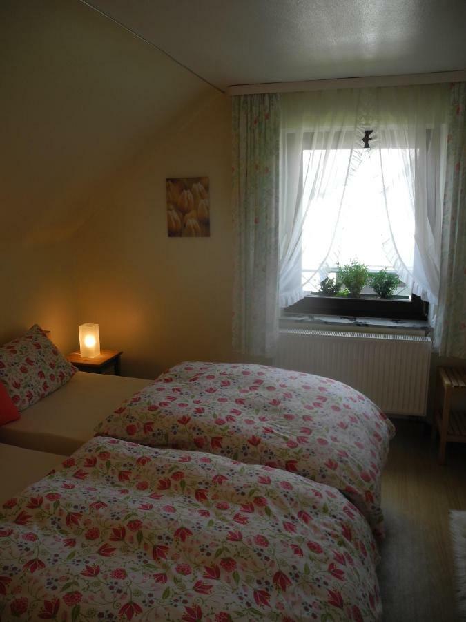 Villa Luzia Meuspath Екстер'єр фото