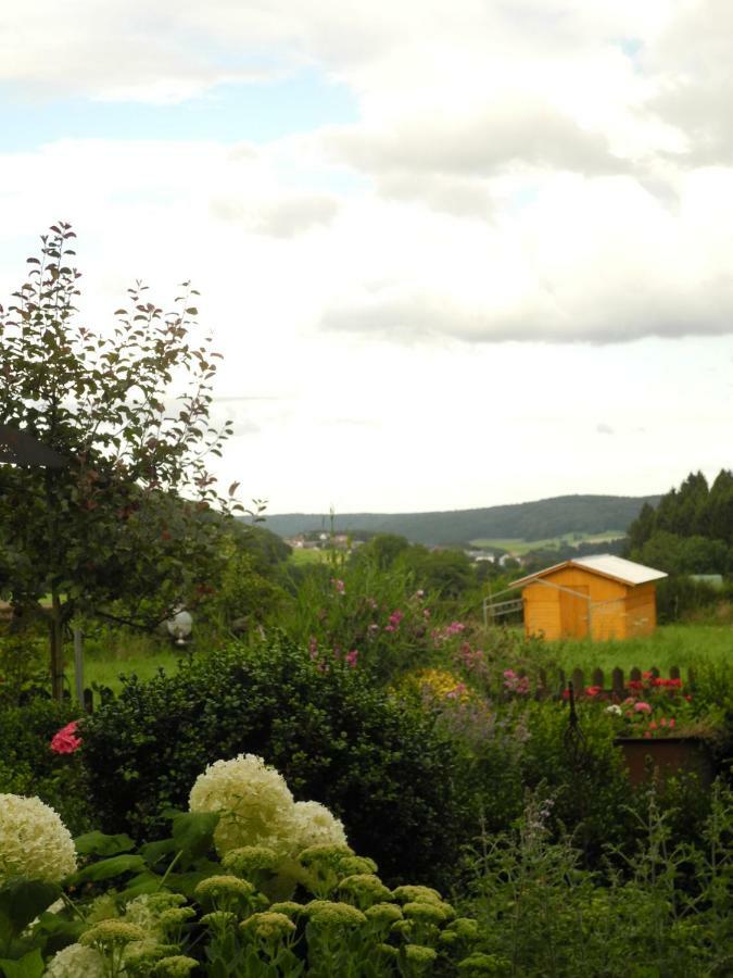 Villa Luzia Meuspath Екстер'єр фото